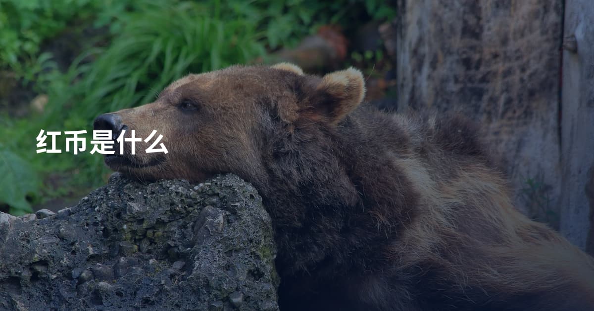 红币是什么