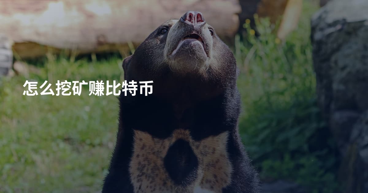 怎么挖矿赚比特币