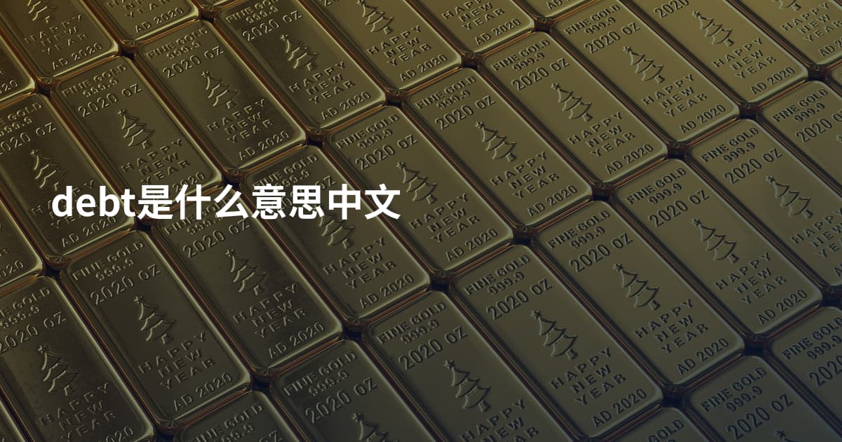 debt是什么意思中文