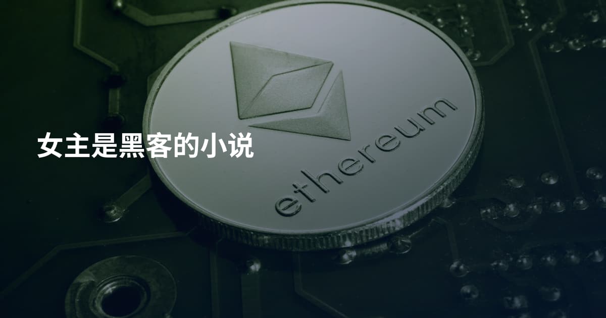 女主是黑客的小说