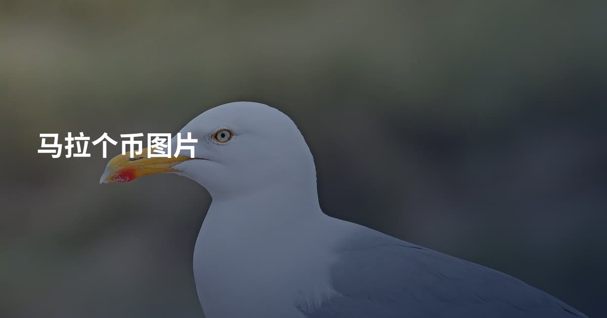 马拉个币图片