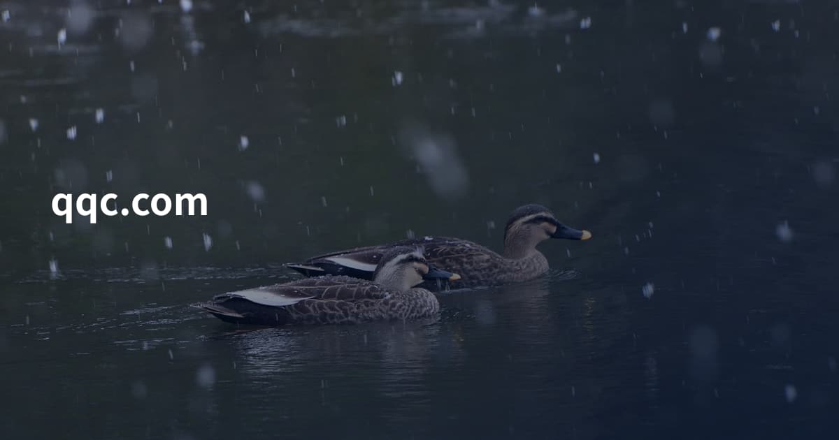 qqc.com