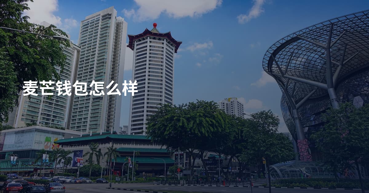 麦芒钱包怎么样
