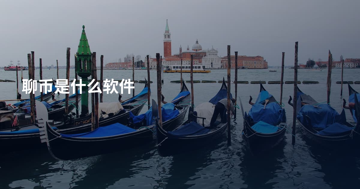 聊币是什么软件