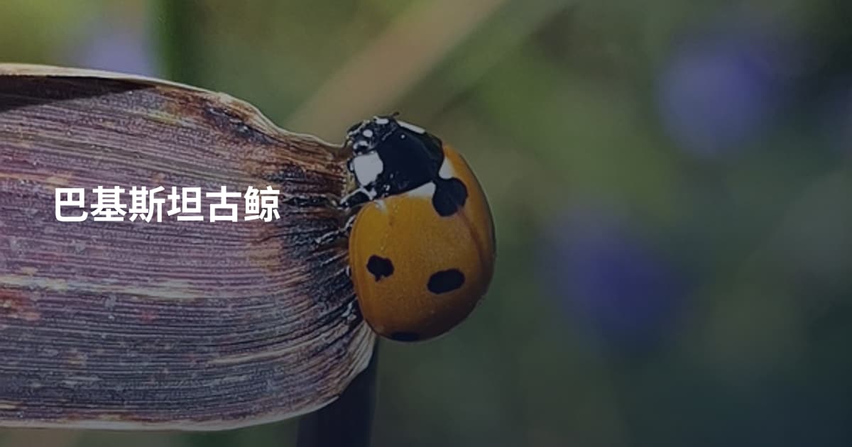 巴基斯坦古鲸