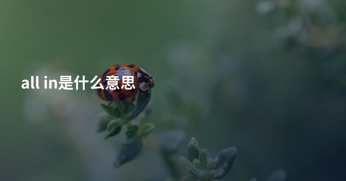 all in是什么意思