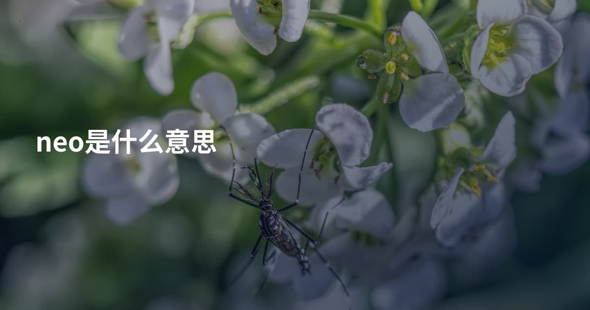 neo是什么意思