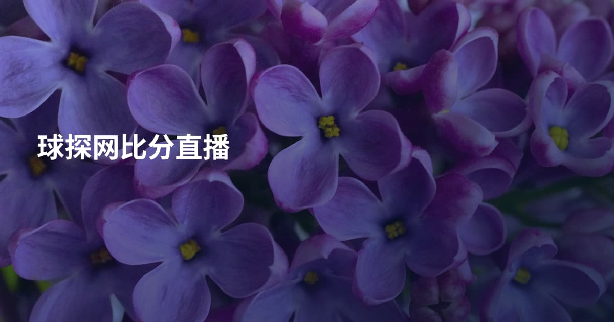 球探网比分直播