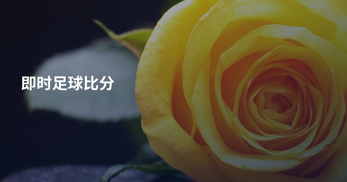 即时足球比分