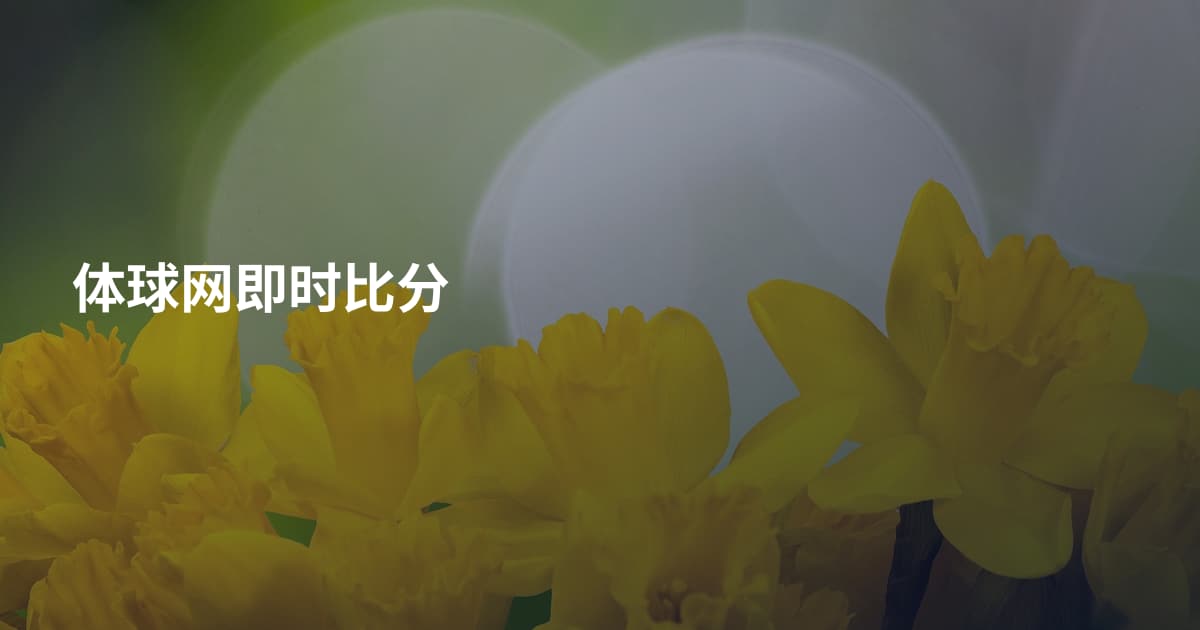 体球网即时比分