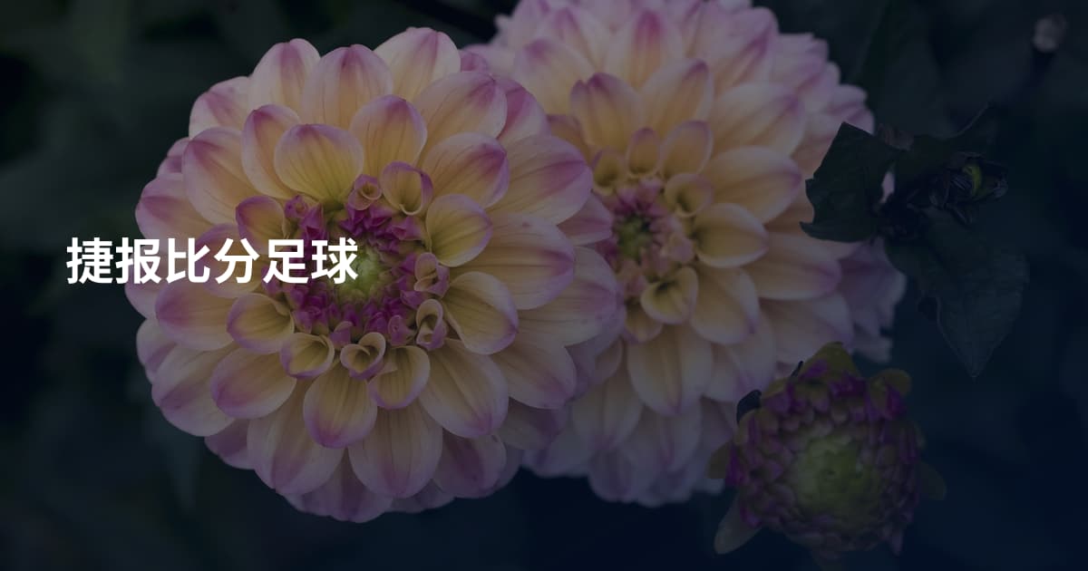 捷报比分足球