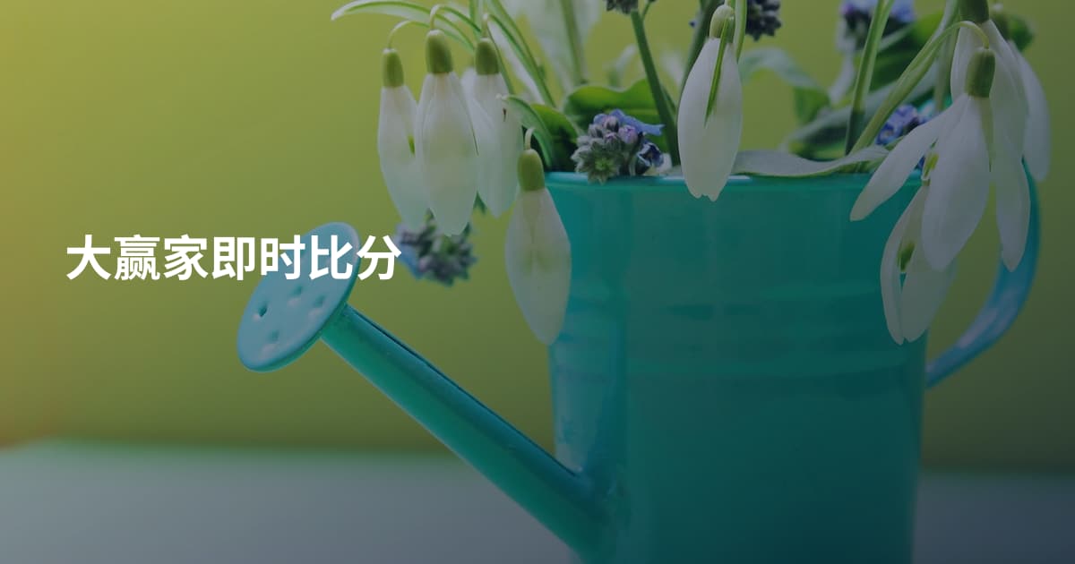 大赢家即时比分