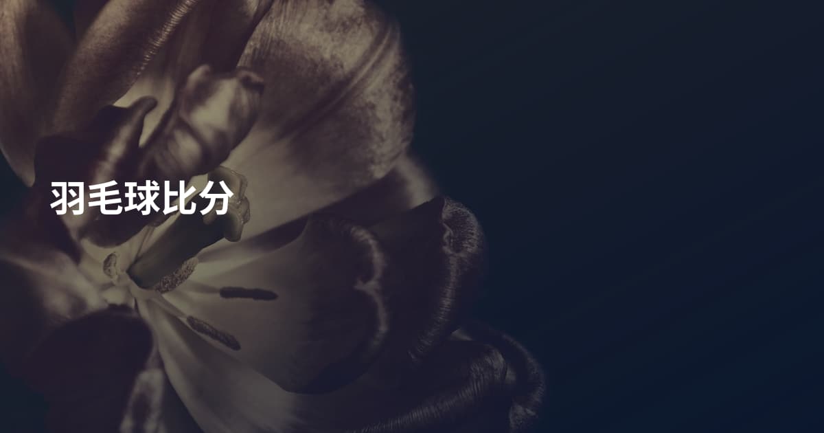 羽毛球比分
