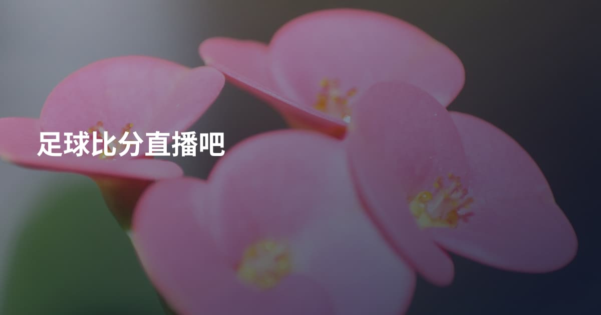 足球比分直播吧