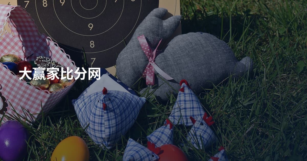 大赢家比分网