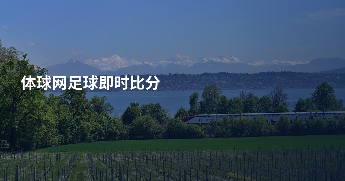 体球网足球即时比分