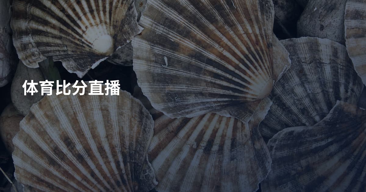体育比分直播