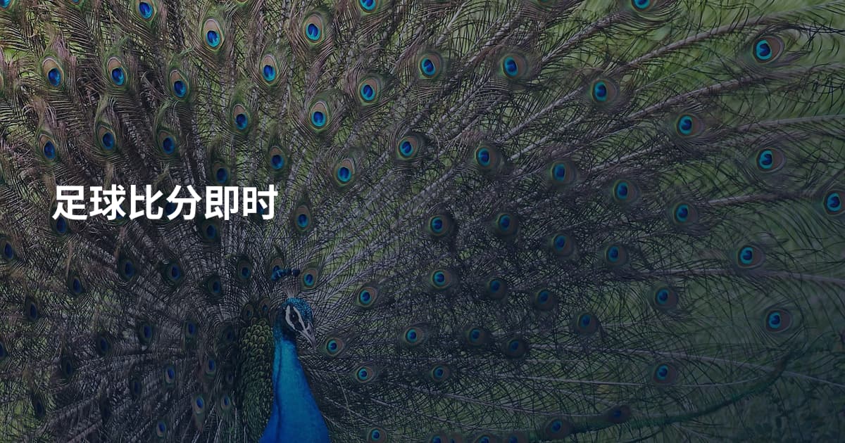 足球比分即时