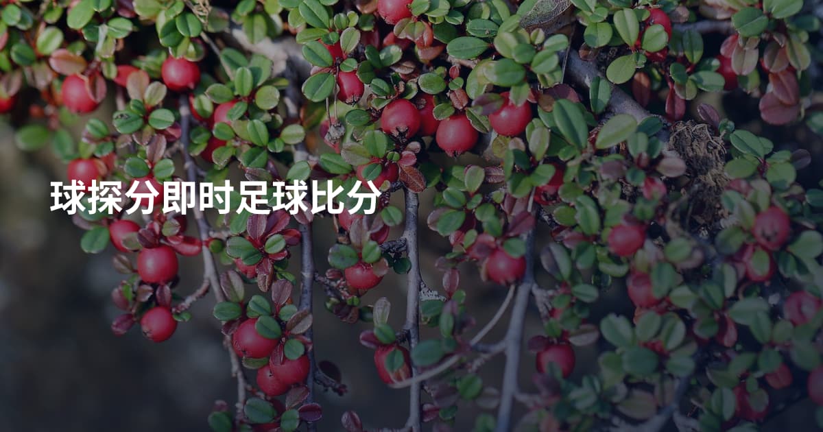 球探分即时足球比分