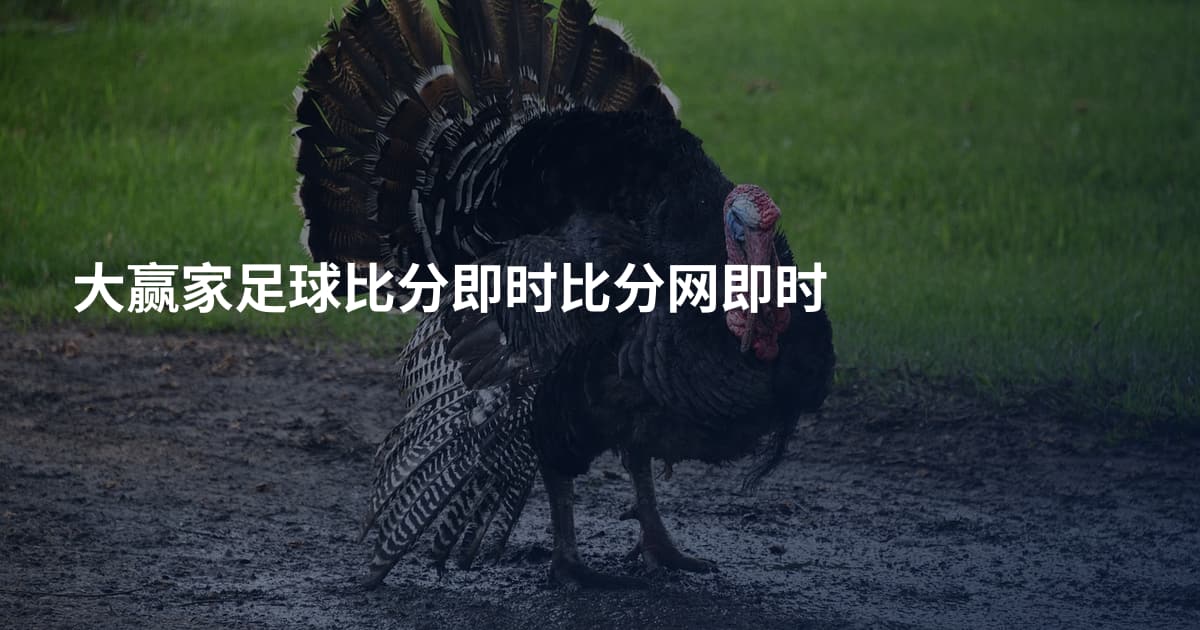 大赢家足球比分即时比分网即时
