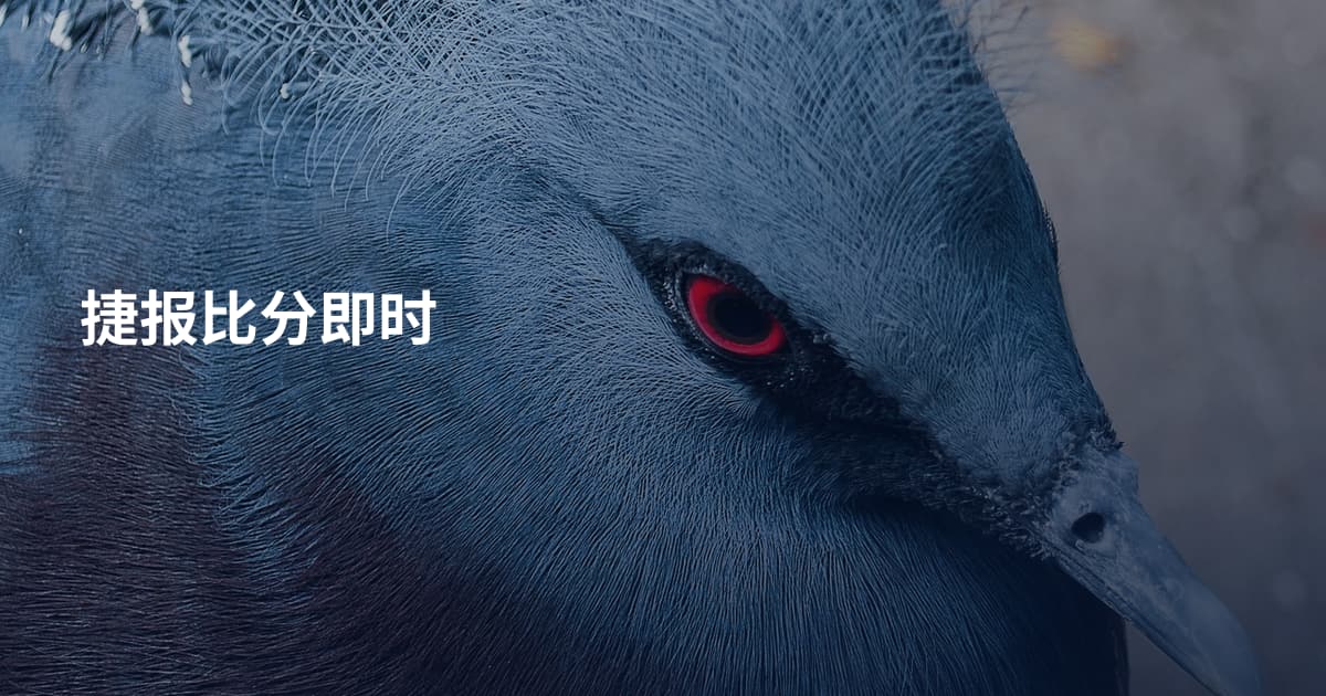 捷报比分即时