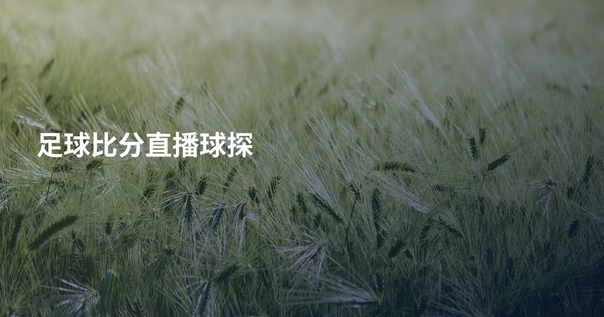 足球比分直播球探