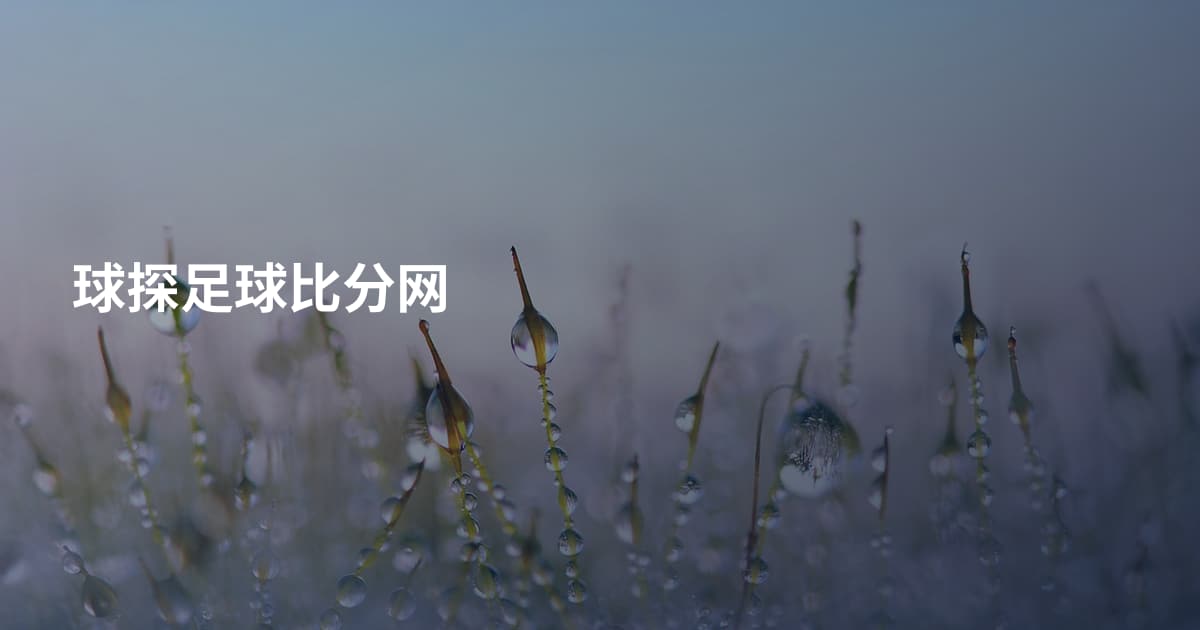 球探足球比分网