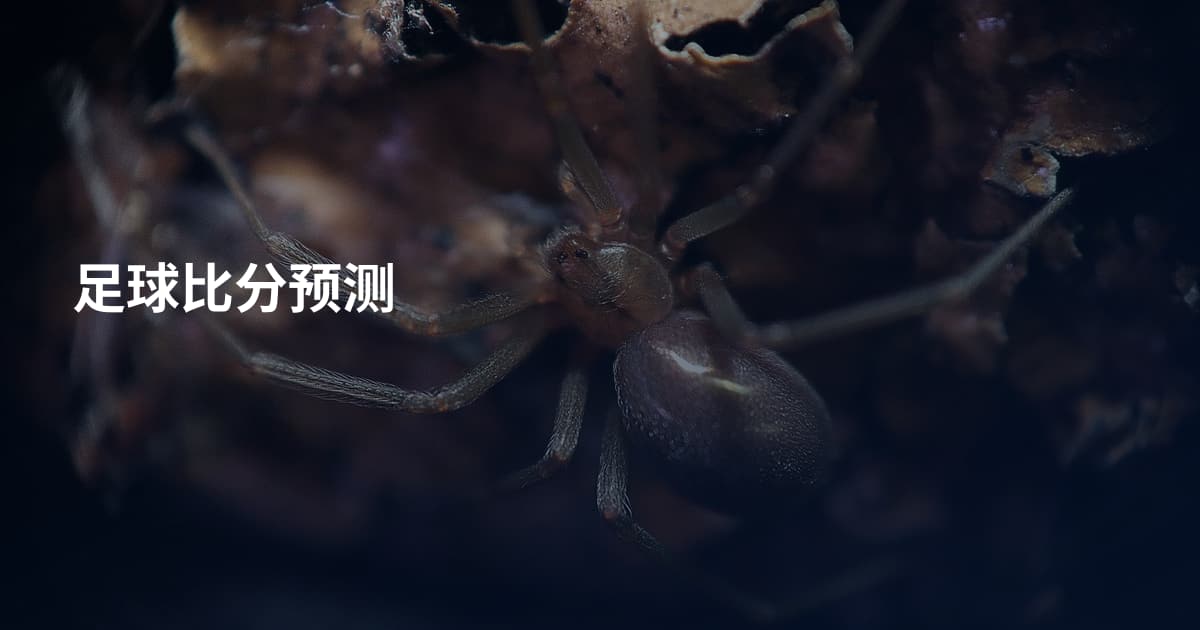 足球比分预测