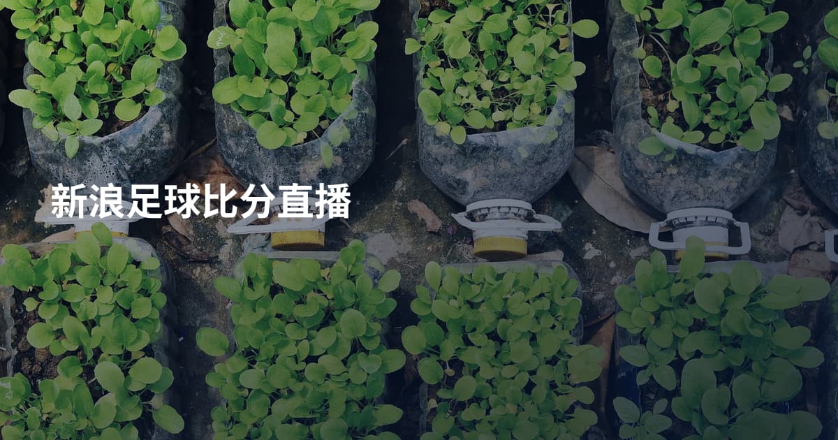 新浪足球比分直播