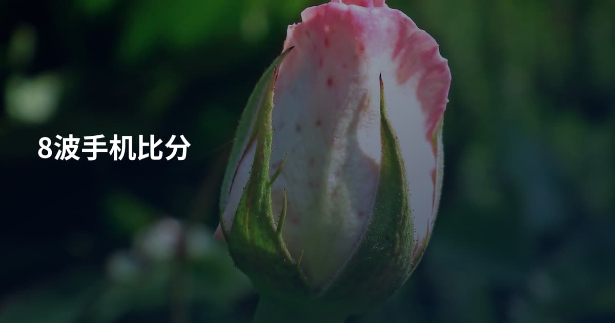 8波手机比分