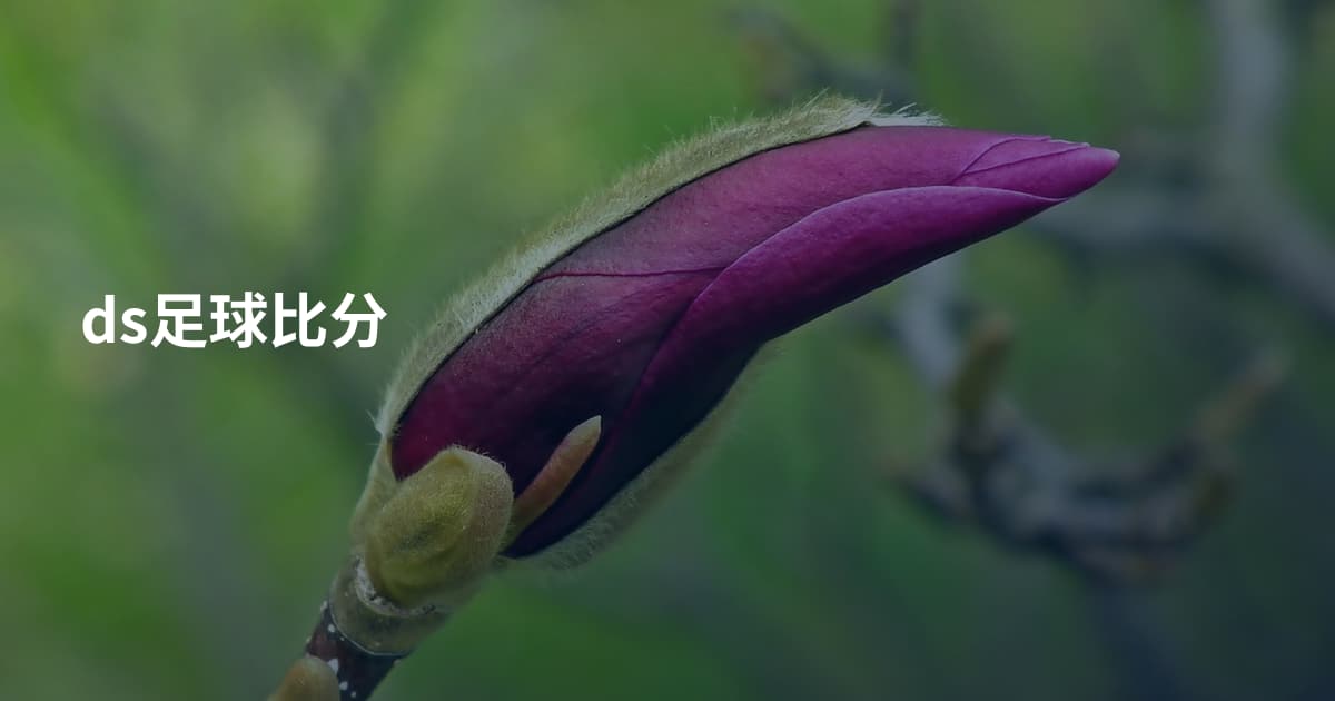 ds足球比分