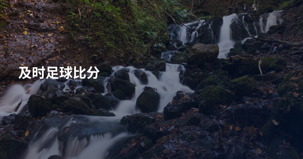 及时足球比分