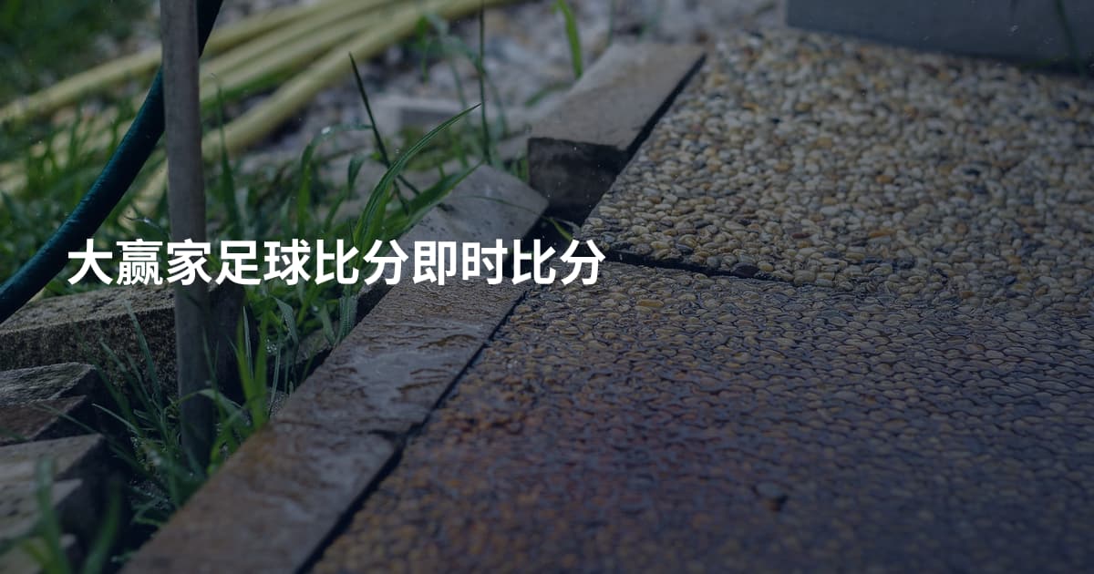 大赢家足球比分即时比分