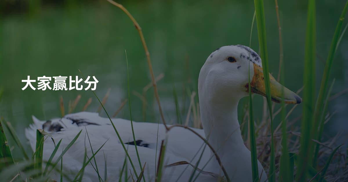 大家赢比分