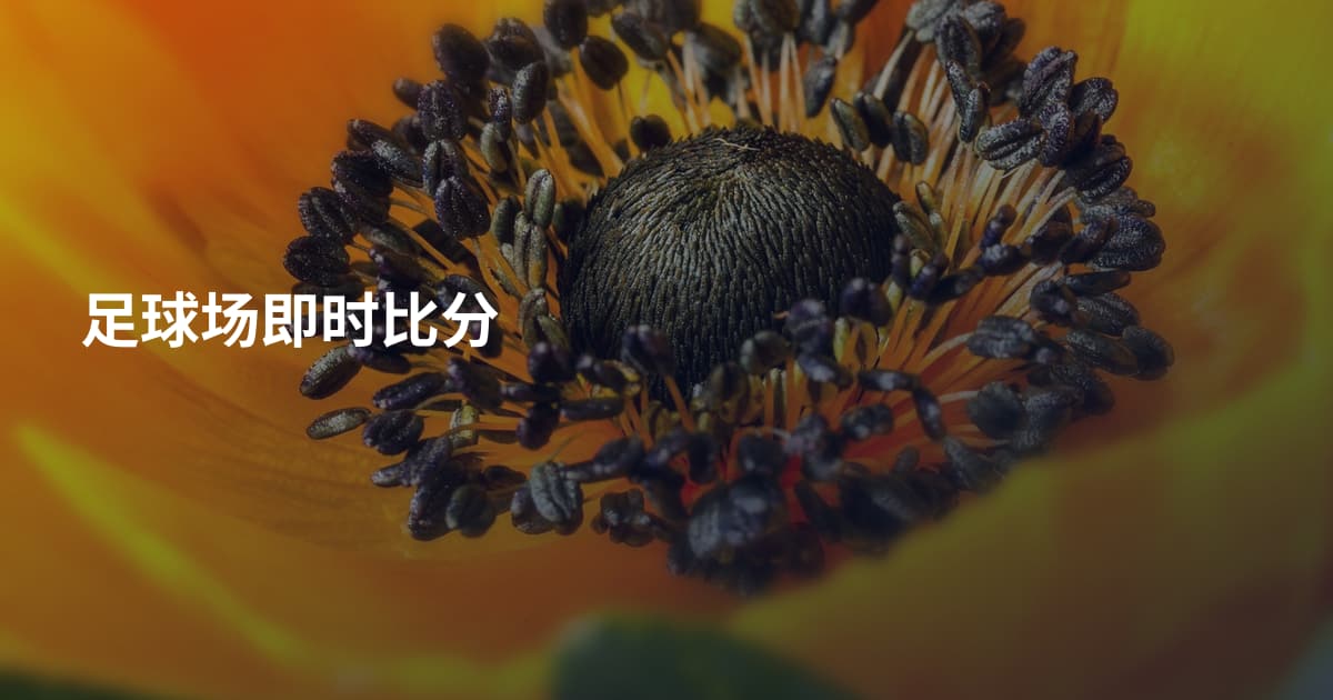 足球场即时比分
