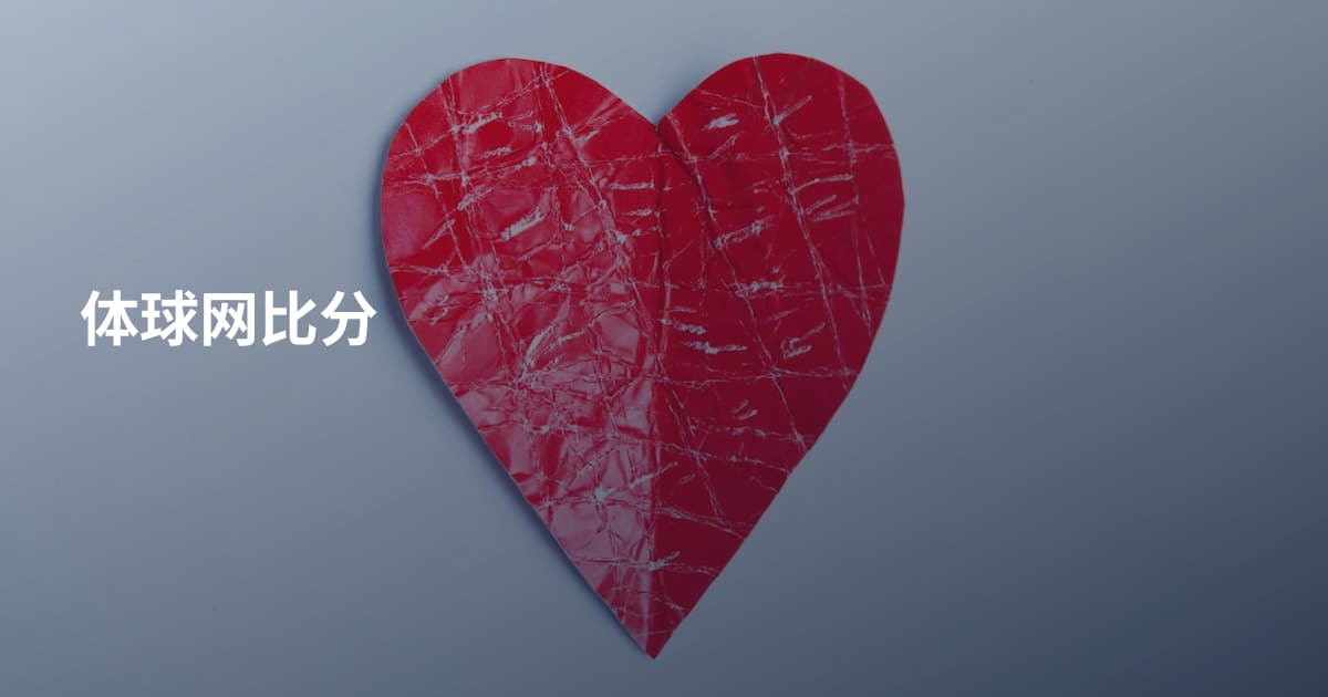 体球网比分