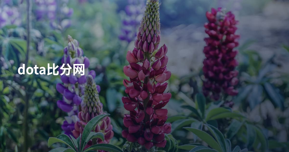 dota比分网