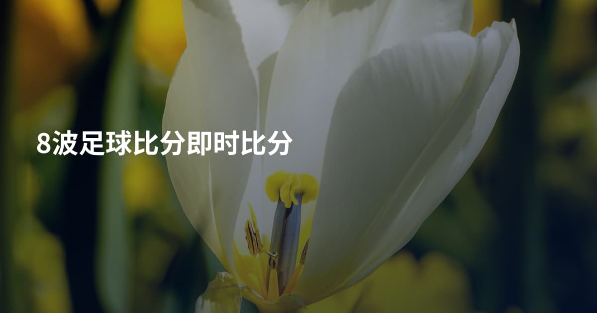 8波足球比分即时比分