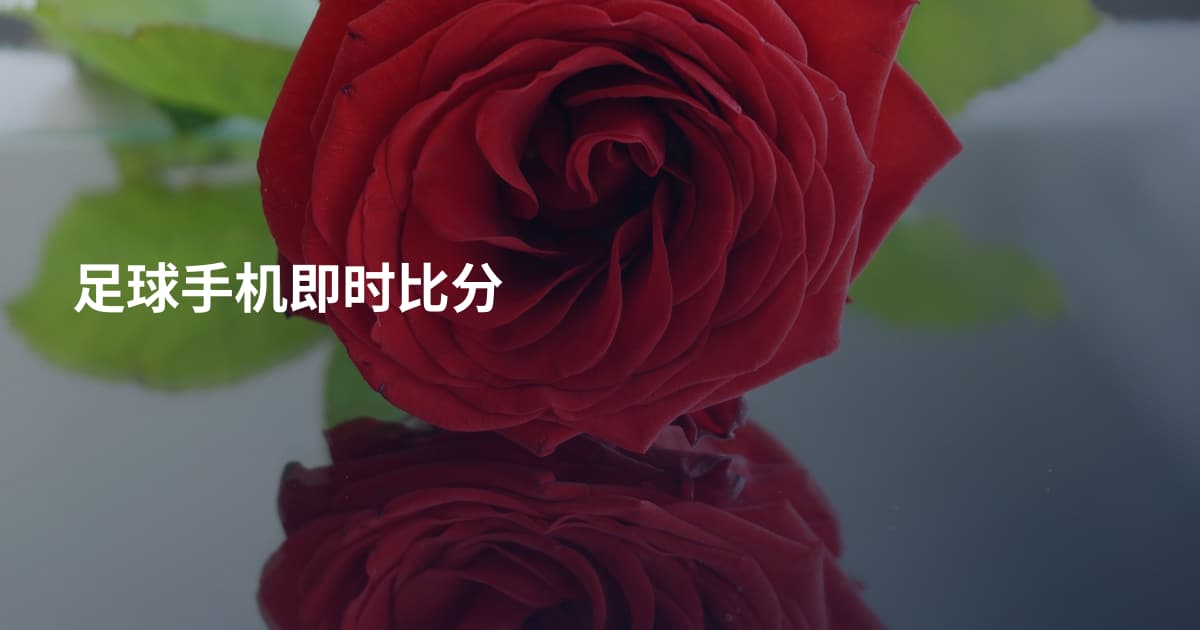 足球手机即时比分