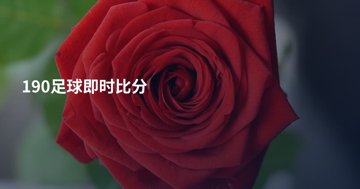 190足球即时比分