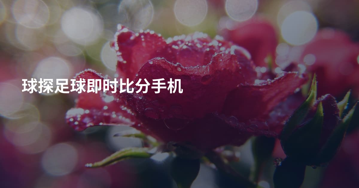 球探足球即时比分手机