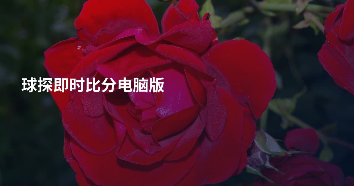 球探即时比分电脑版
