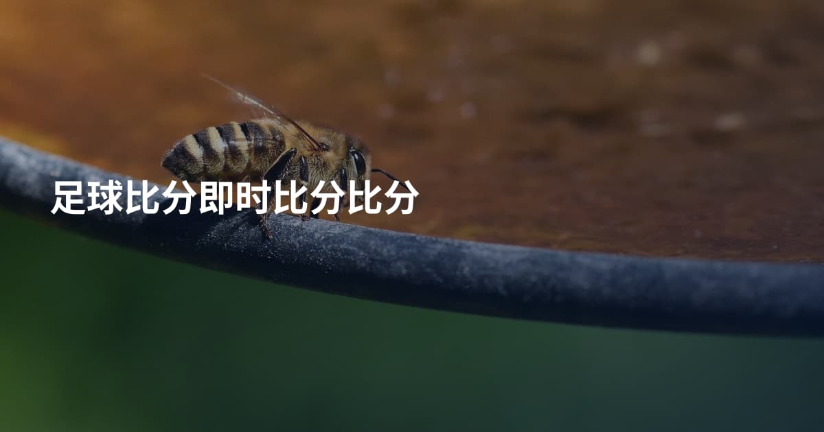 足球比分即时比分比分
