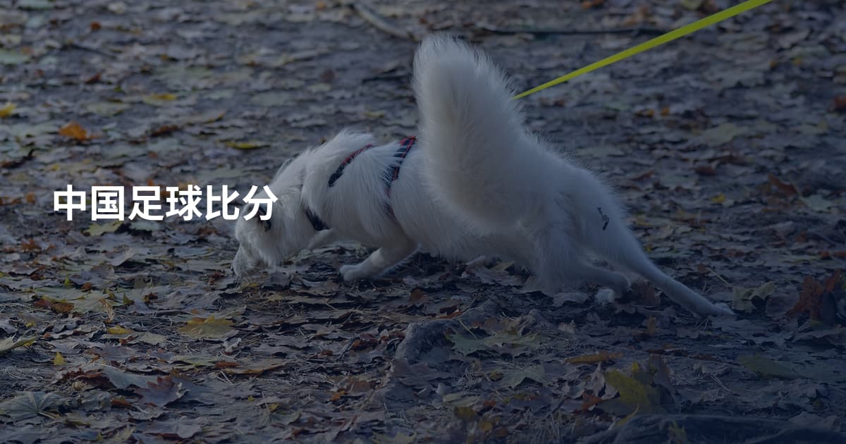 中国足球比分