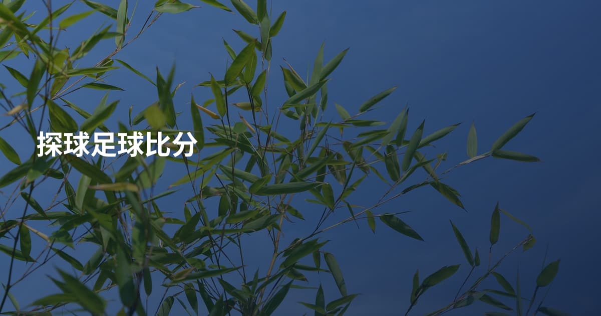 探球足球比分