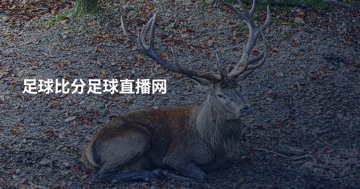 足球比分足球直播网