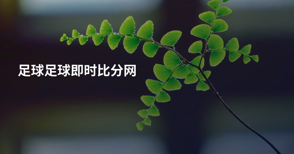 足球足球即时比分网