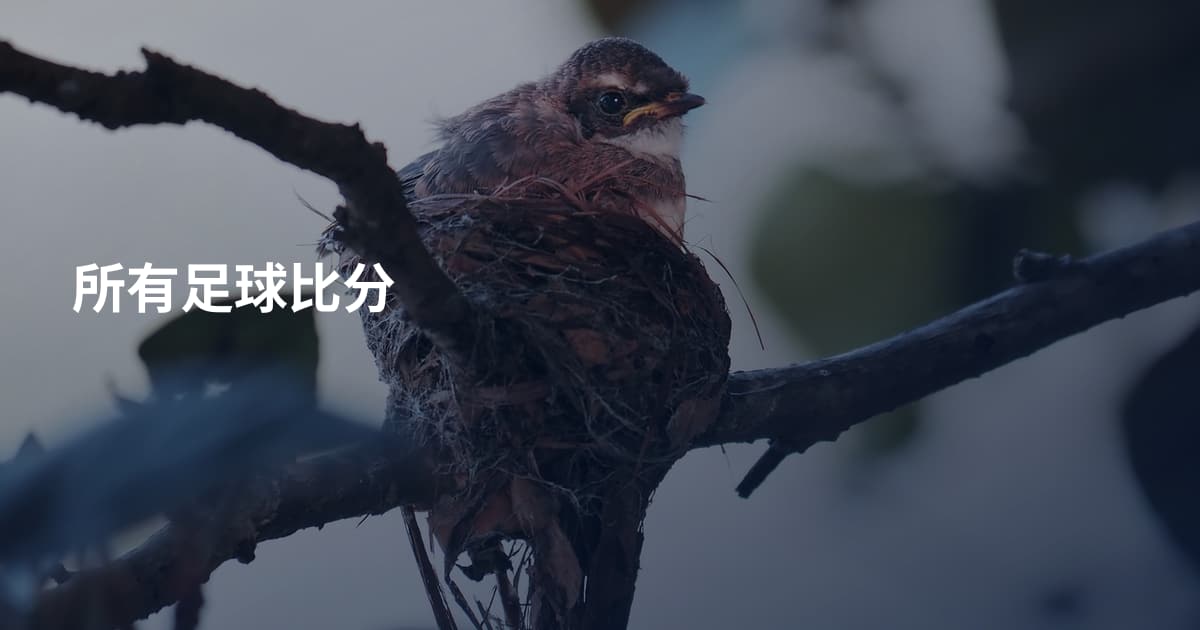 所有足球比分