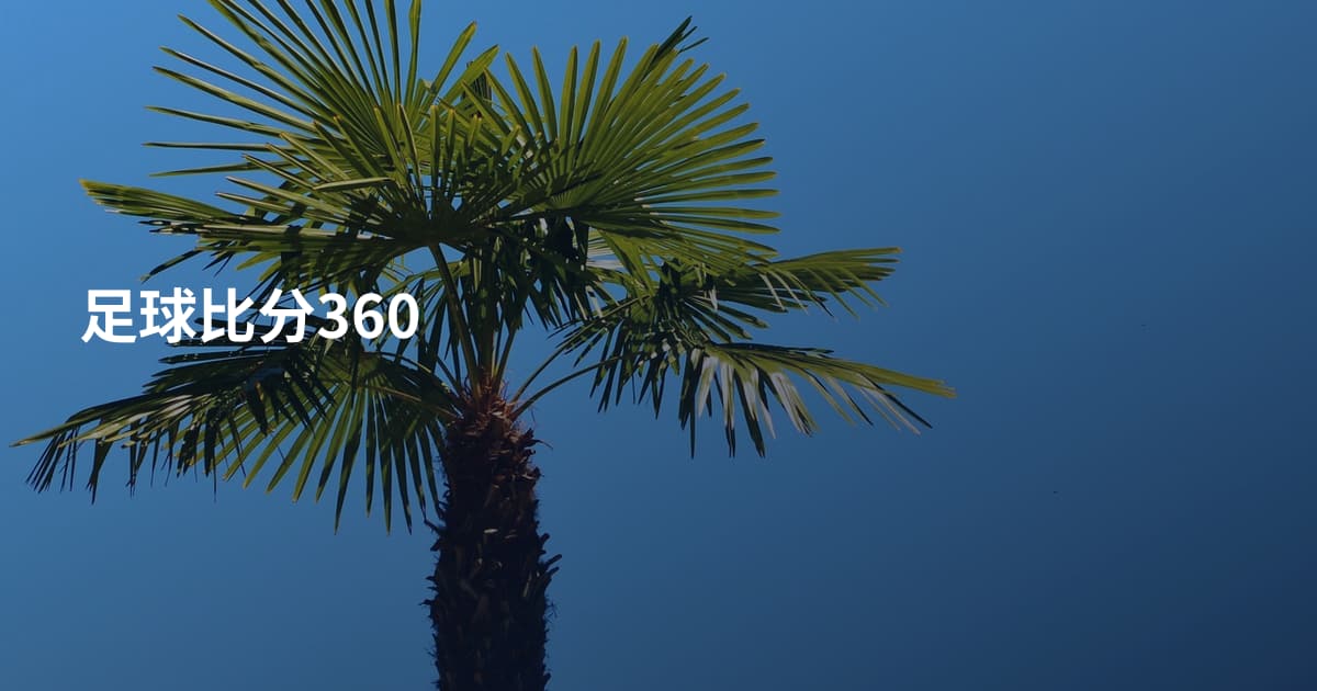 足球比分360