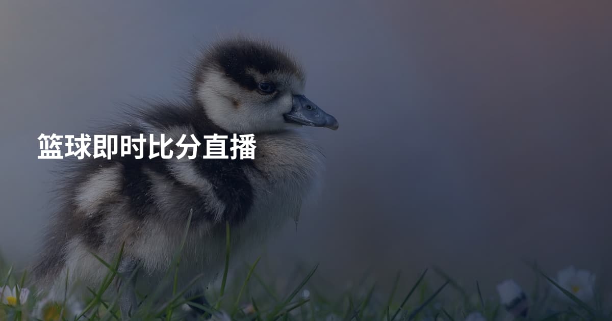 篮球即时比分直播